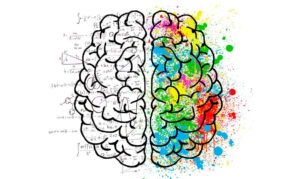 Neuromarketing: O que? Como aplicar em estratégias Digitais